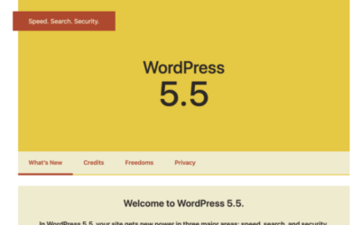 Did WordPress 5.5 Break Your Website?